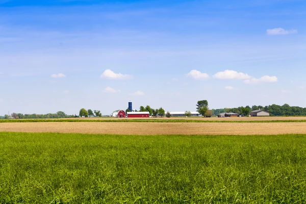 American Farmland com céu azul nublado — Fotografia de Stock