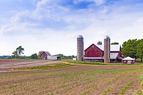 Amerikanisches Ackerland mit blauem bewölkten Himmel — Stockfoto