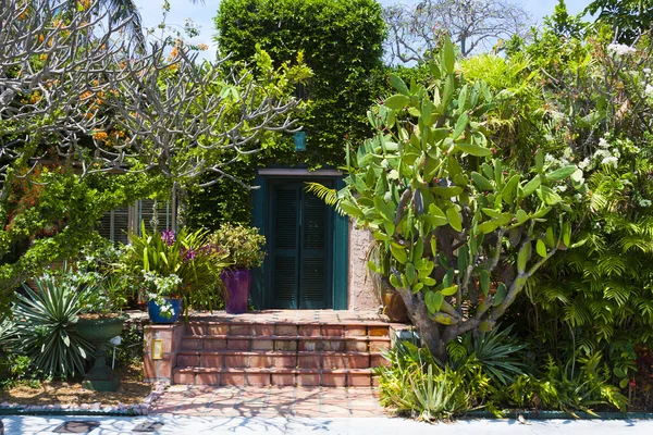 Porte en bois avec grand jardin — Photo