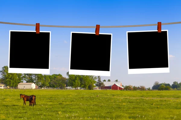 Blank Pictures on American Countryside — Stock Photo, Image