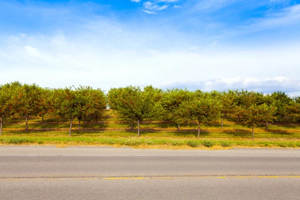 Vista lateral de American Country Road —  Fotos de Stock