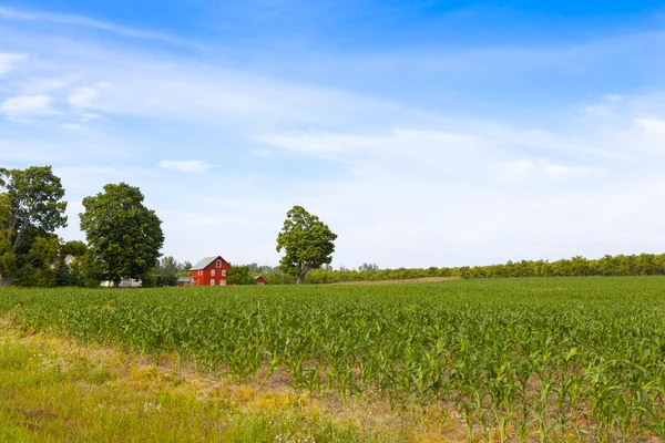 Granja de campo americano con cielo azul —  Fotos de Stock