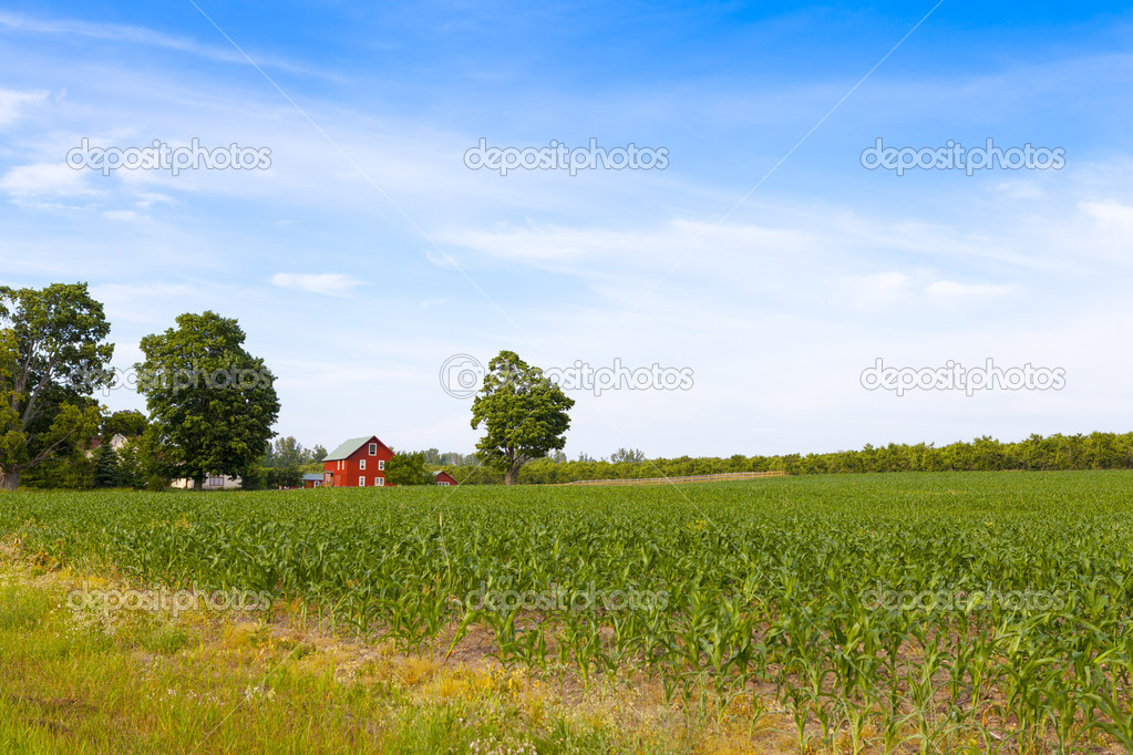American Country Farm With Blue Sky