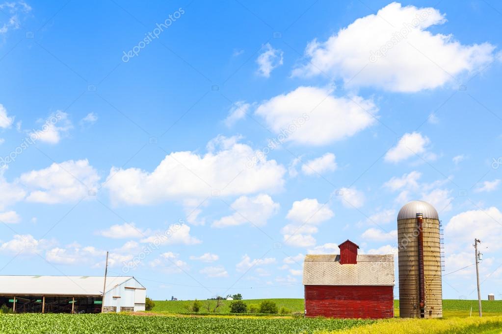 American Farmland With Blue Cloudy Sky