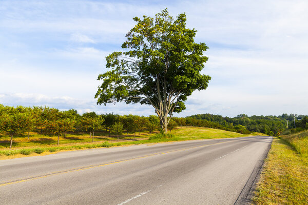 American Country Road Side View