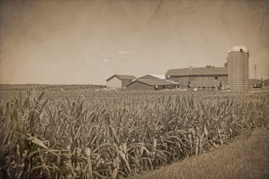 Amerikan kırsal - vintage design