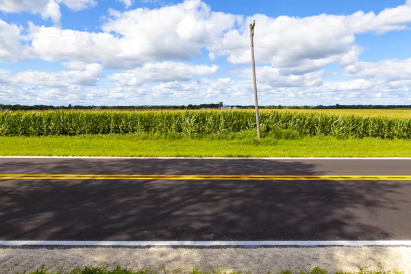 Американский загородный вид на дорогу — стоковое фото