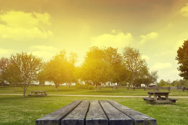 Tavolo da picnic — Foto Stock