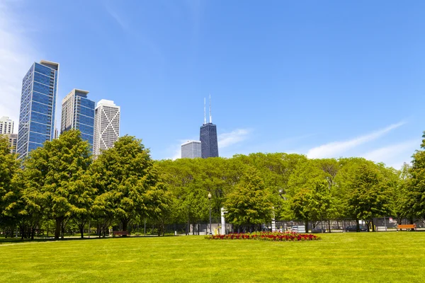 City Park med Chicago Skyline i baggrunden - Stock-foto