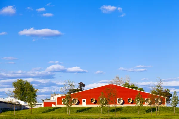 American Farmland With Blue Cloudy Sky — Stock Photo, Image