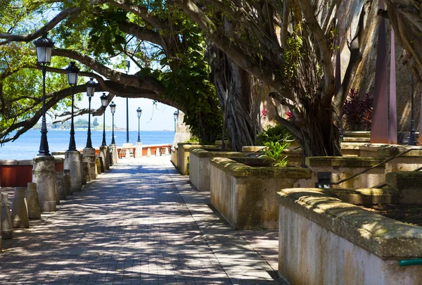 Park In San Juan — Stock Photo, Image