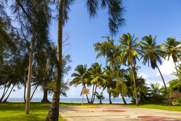 Campo da basket sulla spiaggia tropicale — Foto Stock