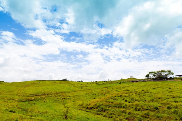 Terras agrícolas tropicais com céu azul nublado — Fotografia de Stock