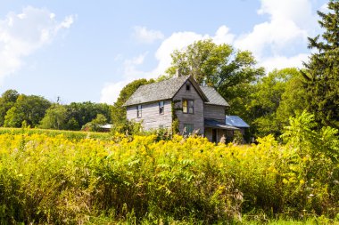 Mavi Bulutlu Amerikan Çiftliği