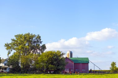 Mavi Bulutlu Amerikan Çiftliği