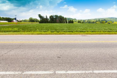 Amerikan Kır Yolu Tarafı Görünümü