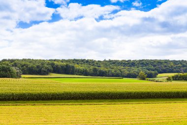 Amerikan kırsal Mısır alan fırtınalı gökyüzü ile