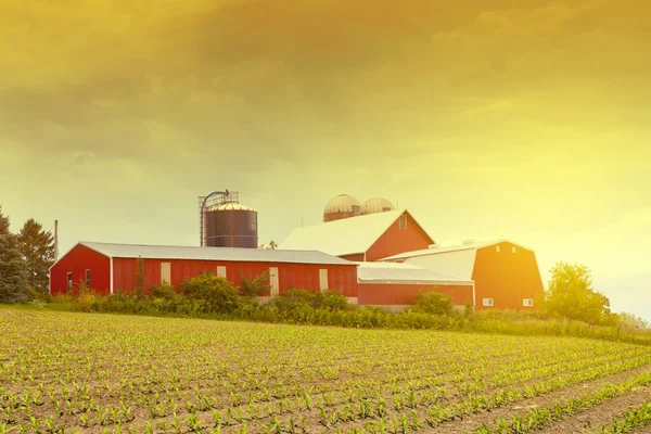 Amerikan tarım arazisi — Stok fotoğraf