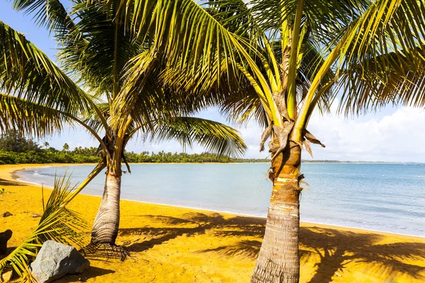 Горячий тропический пляж с голубым небом — стоковое фото