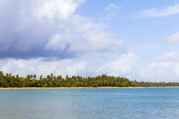 Warm tropisch strand met blauwe hemel — Stockfoto