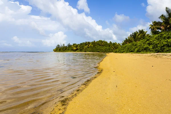 Горячий тропический пляж с голубым небом — стоковое фото