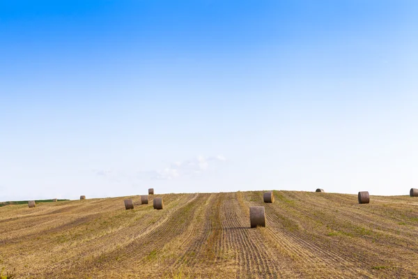 American countryside landscape with bundles of hay — Stock Photo, Image