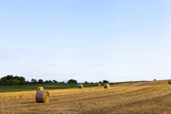 Amerykański wiejski krajobraz z wiązki siana — Zdjęcie stockowe