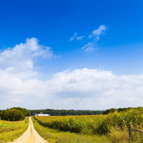 Amerikanische Landschaft Maisfeld mit stürmischem Himmel — Stockfoto