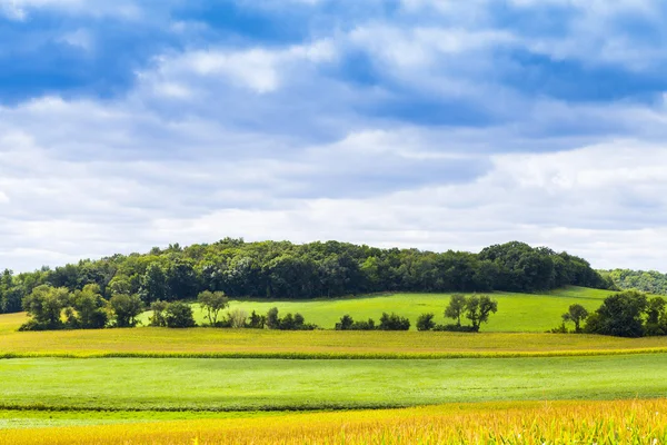 Campo de maíz americano con cielo tormentoso — Foto de Stock