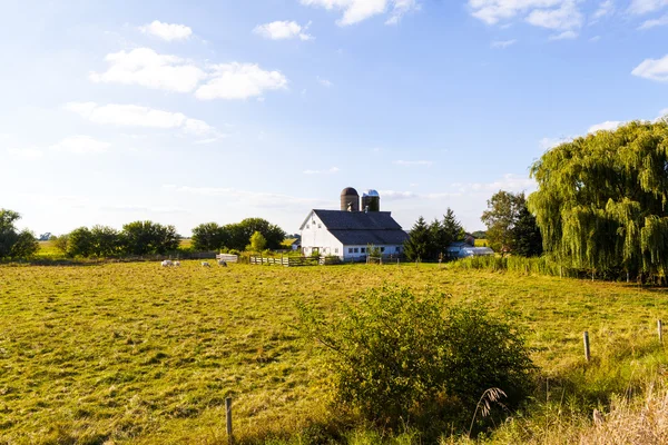 American Farmland With Blue Cloudy Sky — Stock Photo, Image