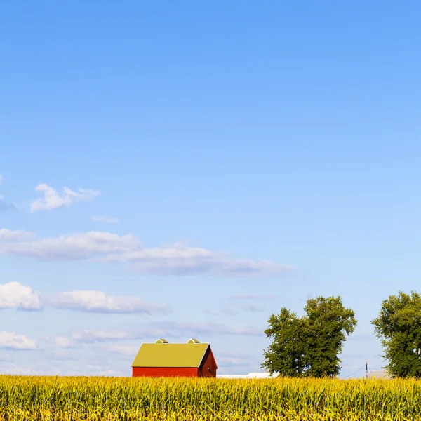 American Farmland med blå molnig himmel — Stockfoto