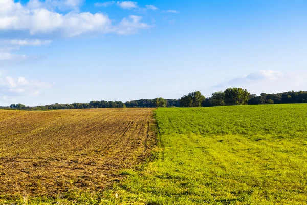 American Farmland with Blue Cloudy Sky — стокове фото