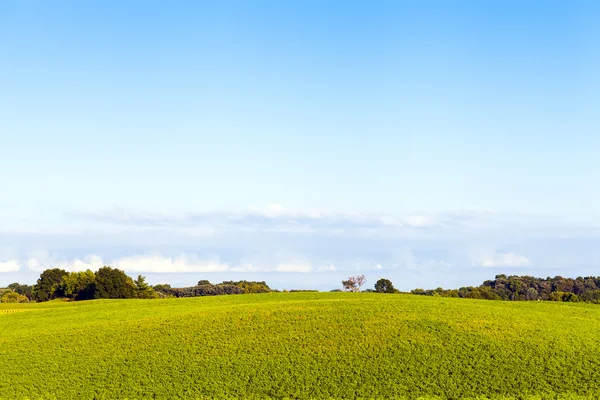 Tierras agrícolas americanas con cielo nublado azul — Foto de Stock