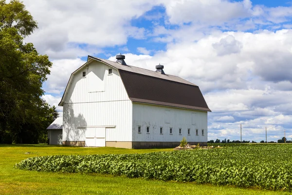 Αμερικανική αγροτική γη με μπλε συννεφιά ουρανό — Φωτογραφία Αρχείου