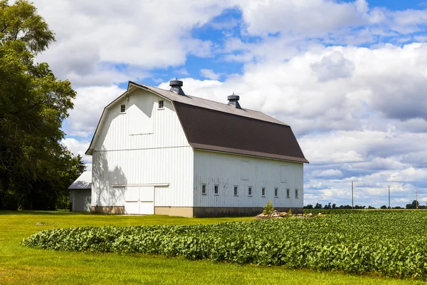 American Farmland com céu azul nublado — Fotografia de Stock