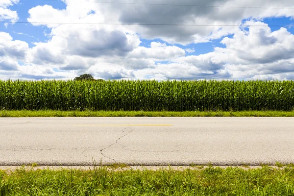 Seitenansicht der amerikanischen Landstraße — Stockfoto