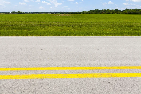 Amerikan Kır Yolu Tarafı Görünümü — Stok fotoğraf