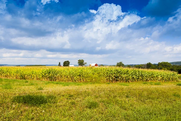 Terres agricoles américaines avec ciel nuageux bleu — Photo