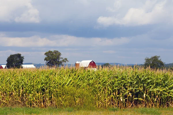 American Red Barn — Stock Photo, Image