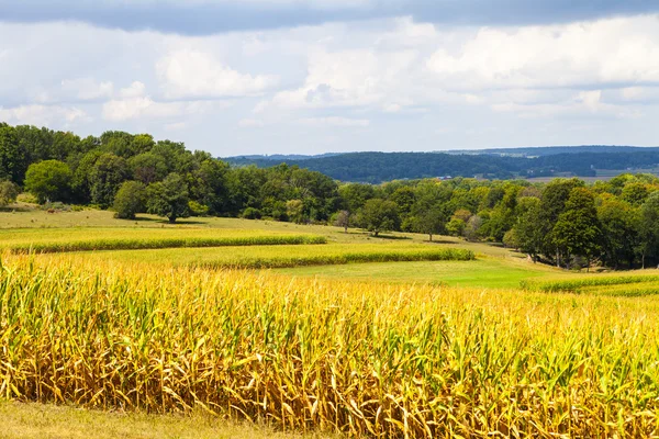 Amerikai vidéki kukoricásban viharos ég — Stock Fotó