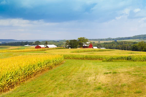 American Countryside — Stock Photo, Image