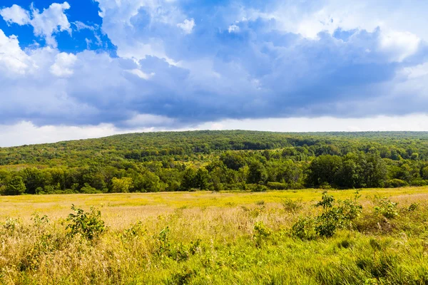 Amerikanska landsbygden sädesfält med stormig himmel — Stockfoto