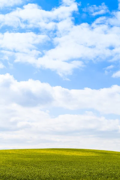 Tierras agrícolas americanas con cielo nublado azul —  Fotos de Stock