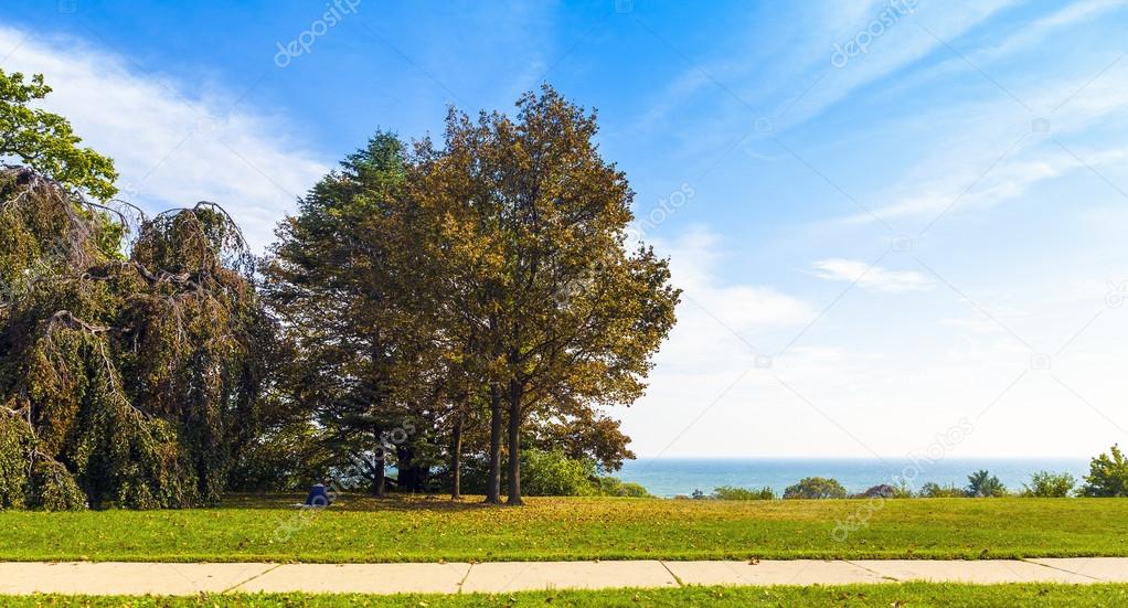 Park in Fall