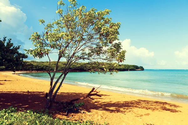 Praia tropical quente — Fotografia de Stock