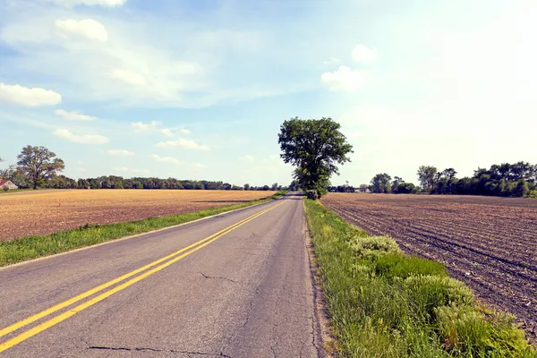 Road Side View — Stock Photo, Image