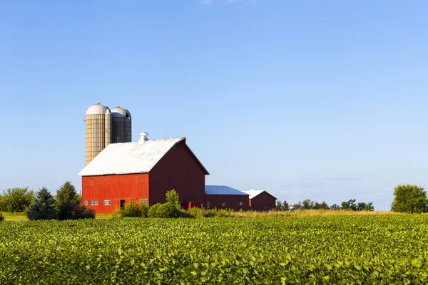 Terreni agricoli — Foto Stock