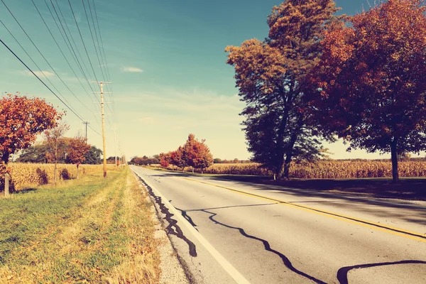 Countryside Road — Stock Photo, Image