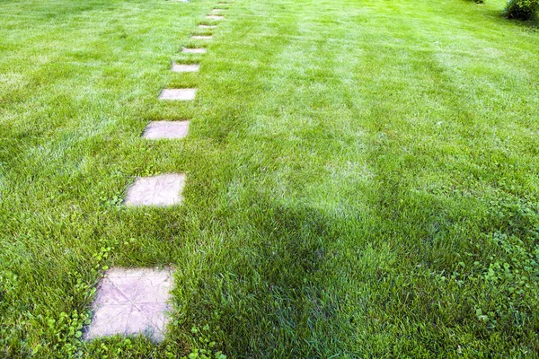 Garden Path — Stock Photo, Image