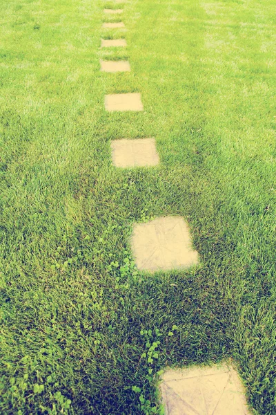 Garden Path — Stock Photo, Image